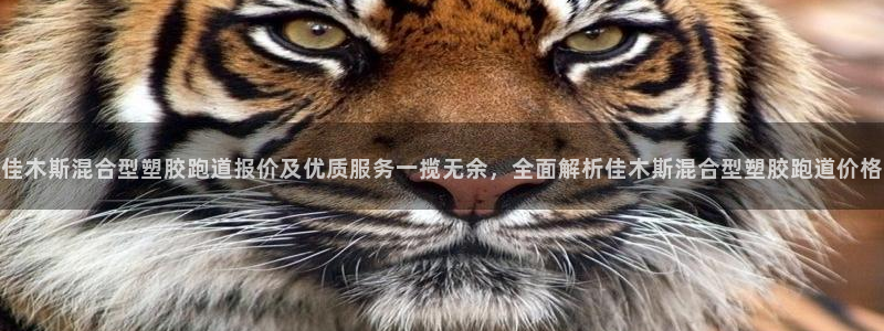 红足1世足球比分