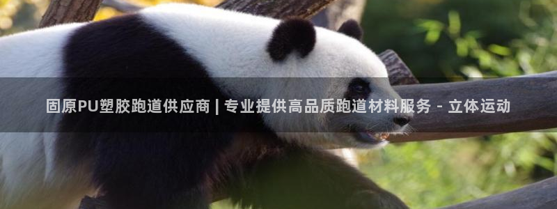 333814红·足一世比分