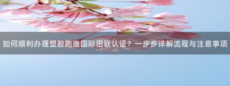 红足体育网